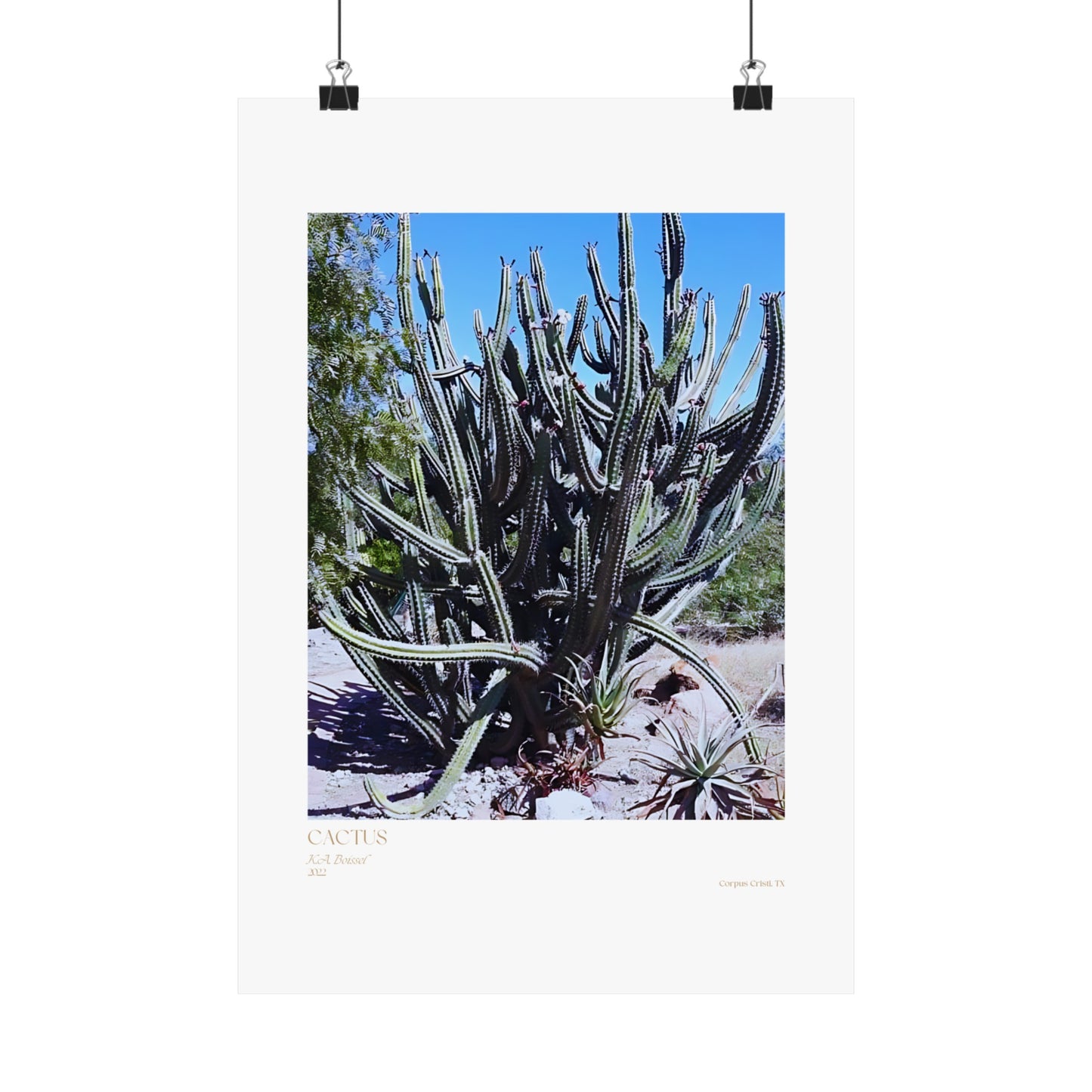 Pósteres verticales con fotografías de cactus