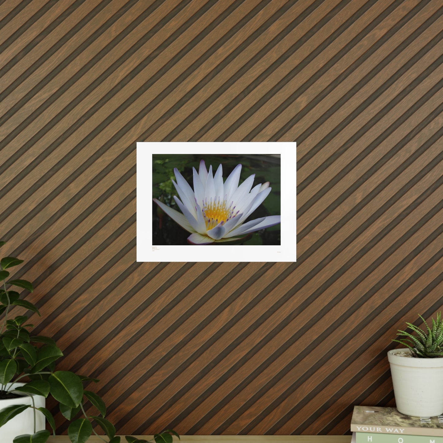 Lily Matte Photograph Horizontal Posters EU