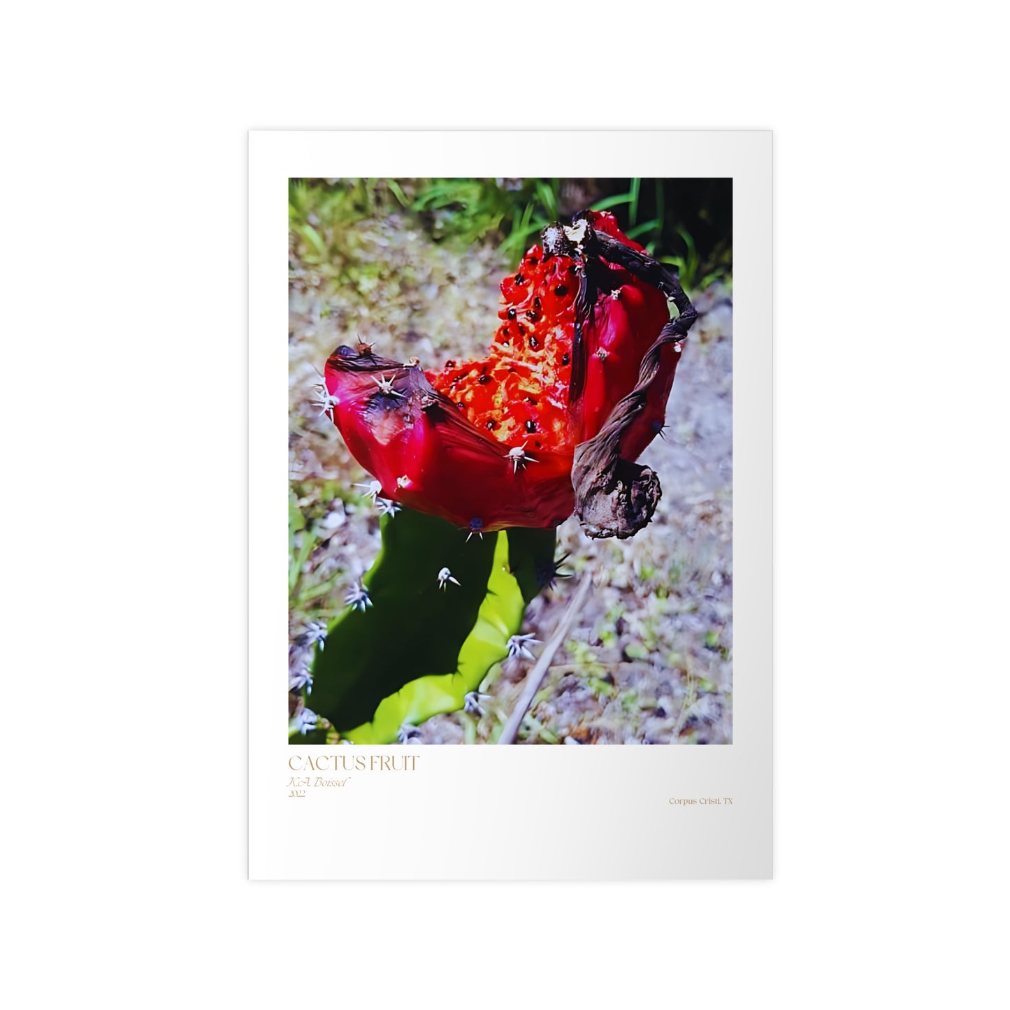 Cactus Fruit Photograph Vertical Posters EU