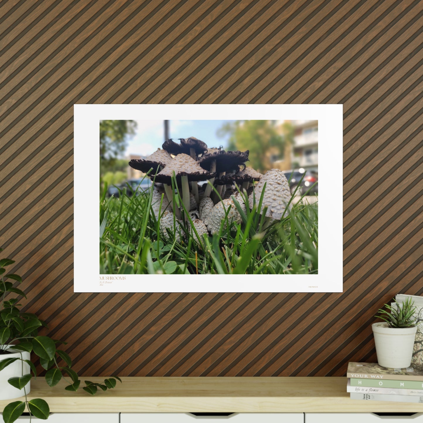 Mushrooms Matte Photograph Horizontal Posters EU