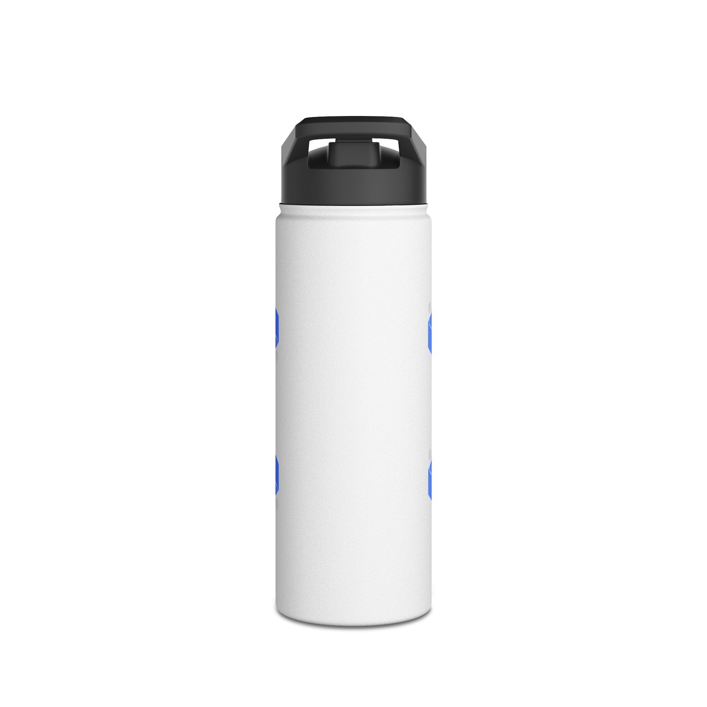 Modern Chicago Stainless Steel Water Bottle, Standard Lid