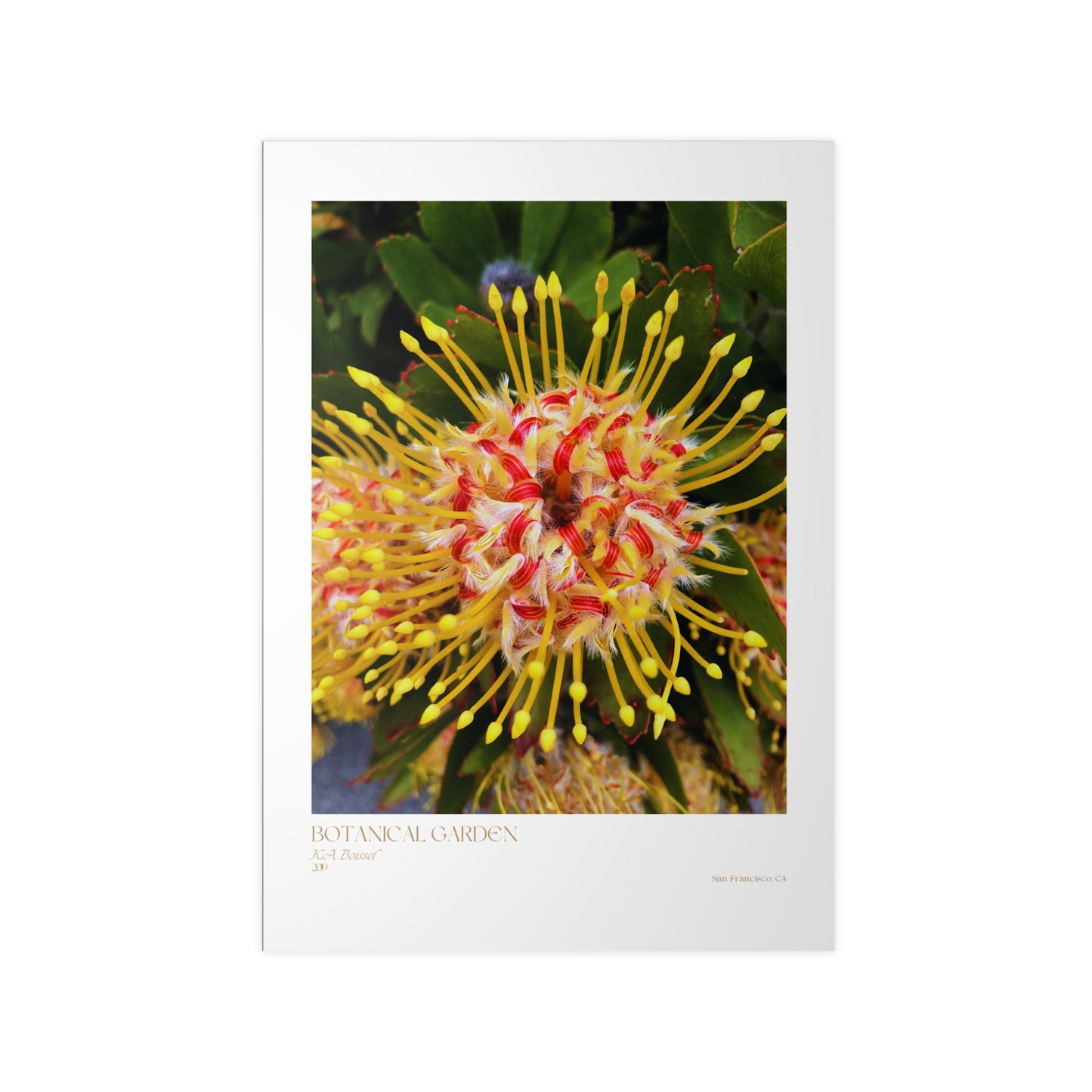 Botanical Garden Photograph Vertical Posters EU