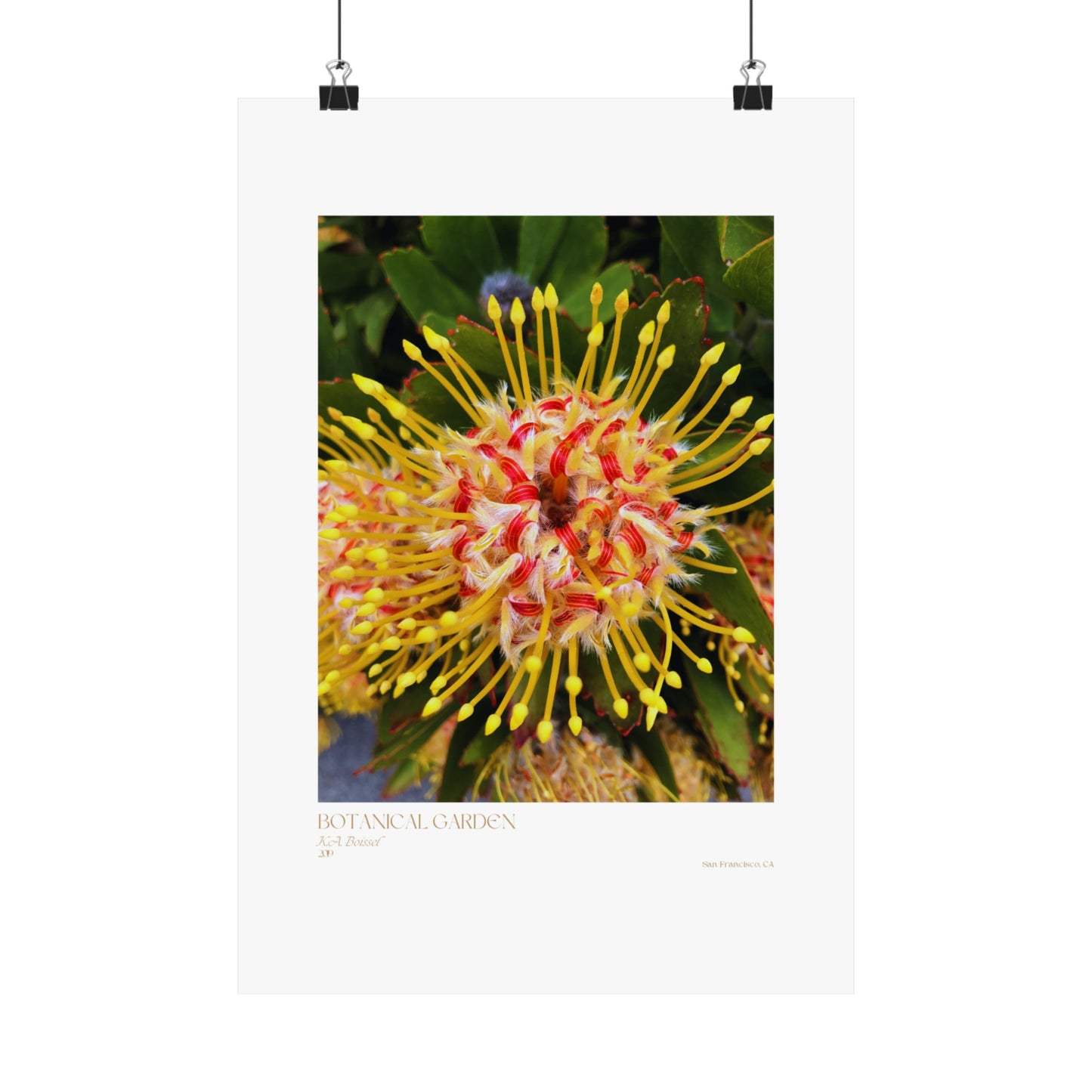 Botanical Garden Photograph Vertical Posters