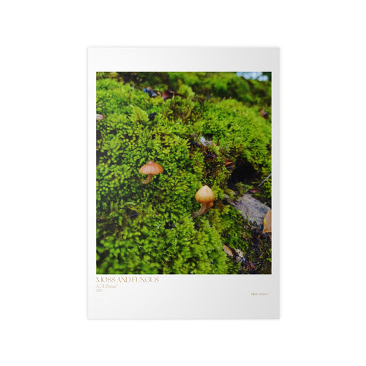 Moss and Fungus Photograph Vertical Posters EU