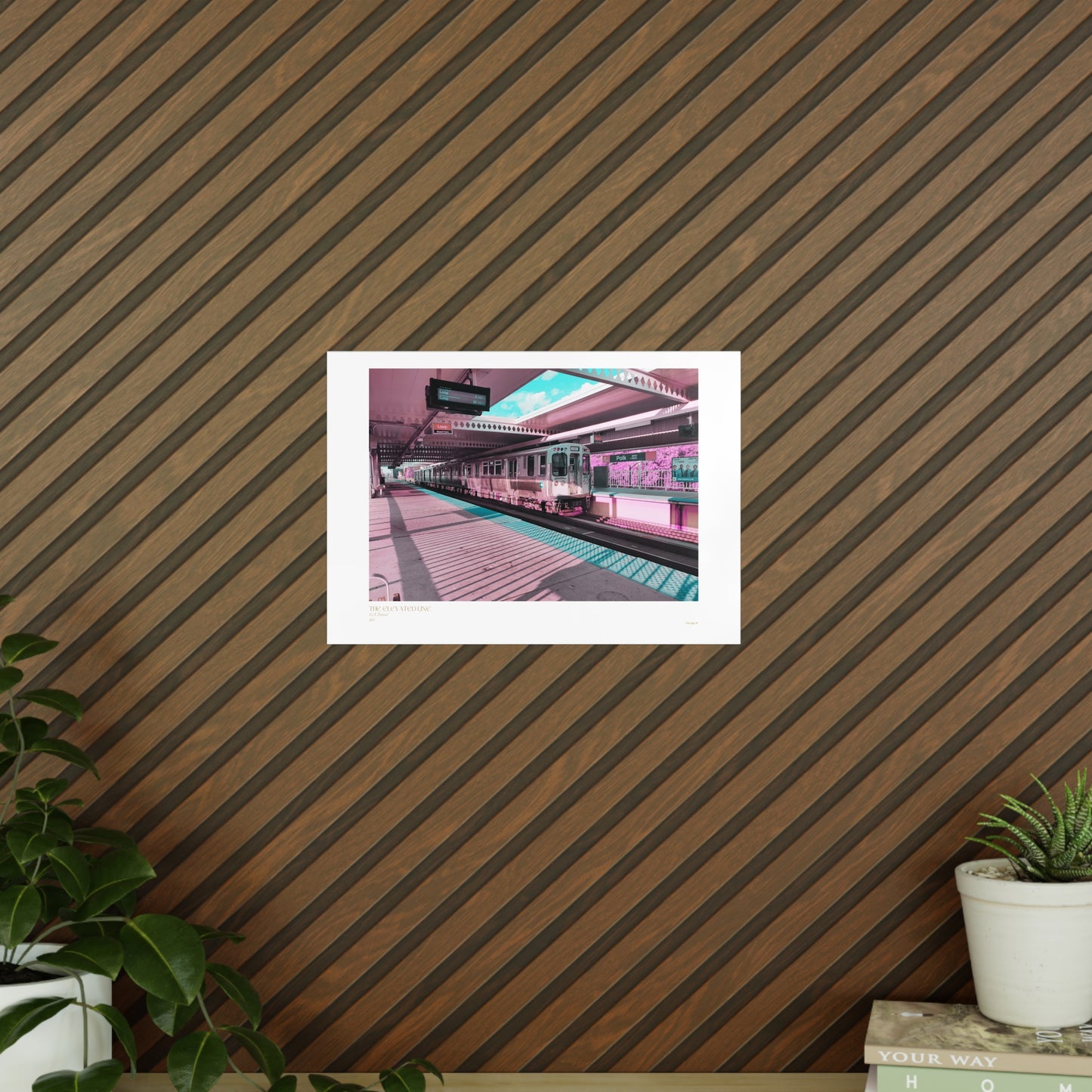 The Elevated Line Matte Photograph Horizontal Posters EU