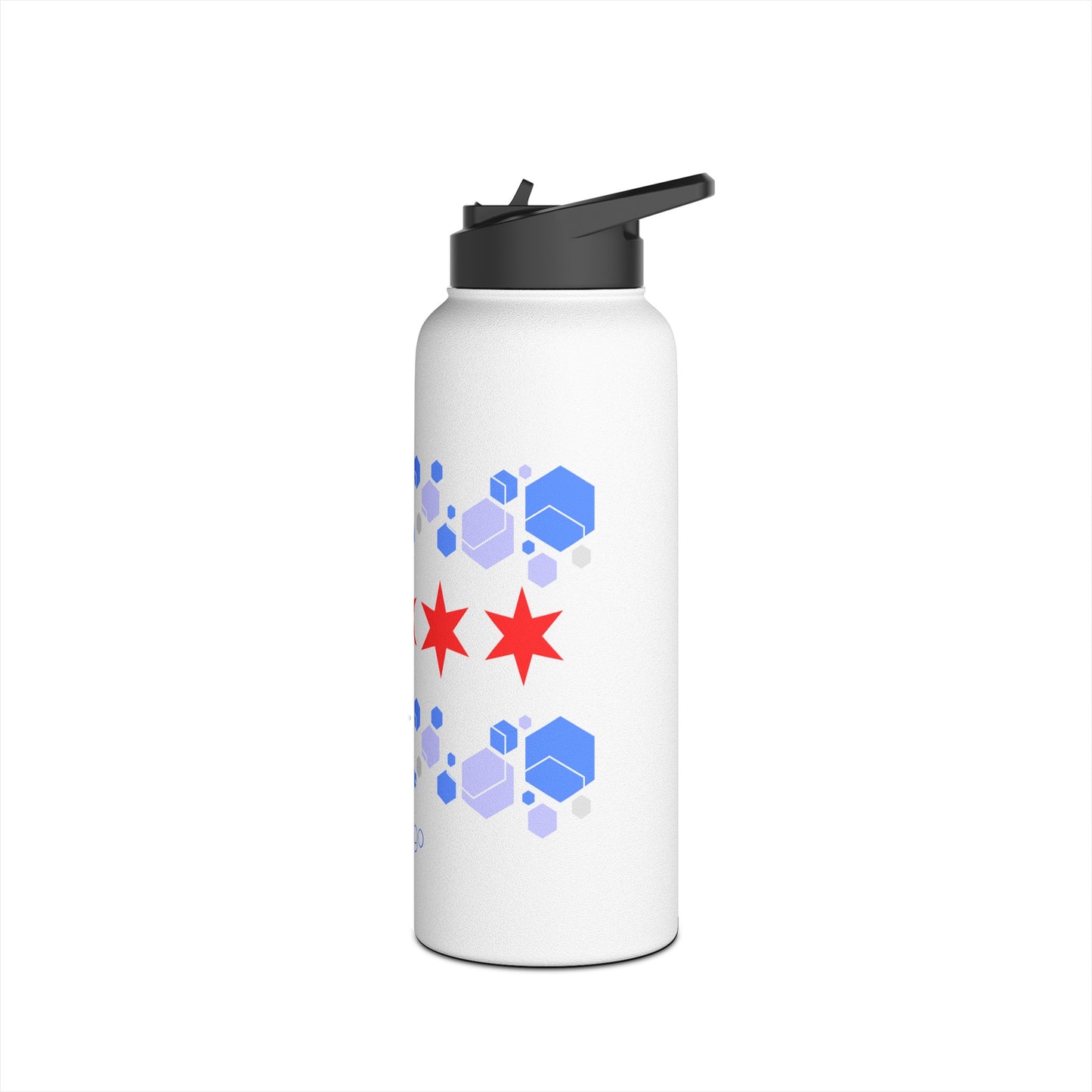 Modern Chicago Stainless Steel Water Bottle, Standard Lid