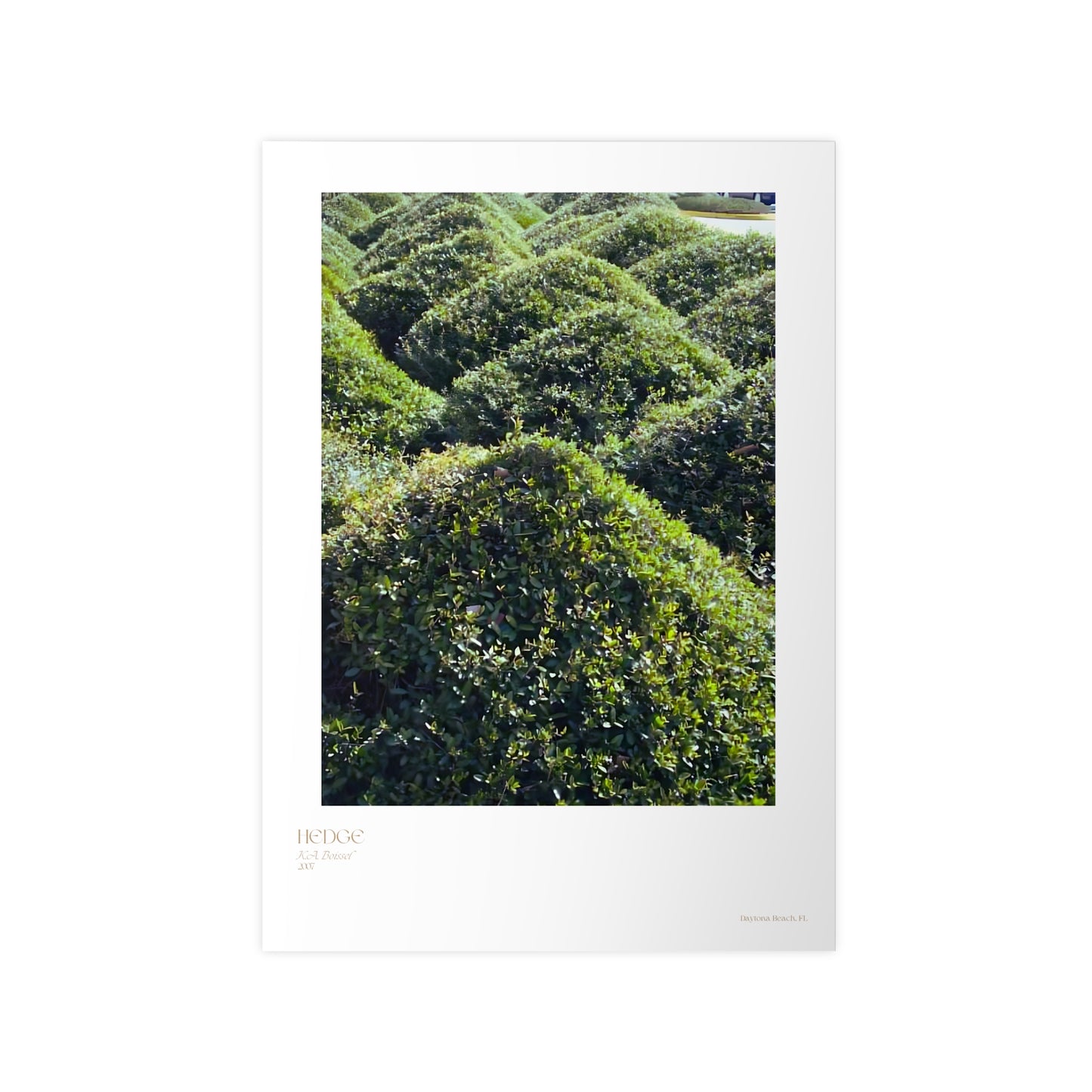 Hedge Photograph Vertical Posters EU